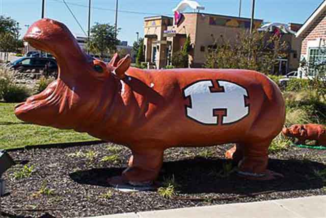 Auto Repair In Hutto, TX